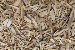 biomass boilers Humberstone